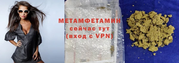 индика Козельск